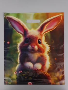 Пакет подарочный Кроля  45 х 38 см 55 мкм