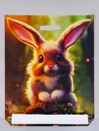 Пакет подарочный «Кроля» полиэтиленовый, с вырубной ручкой, 45×38 см 55 мкм - Фото 2