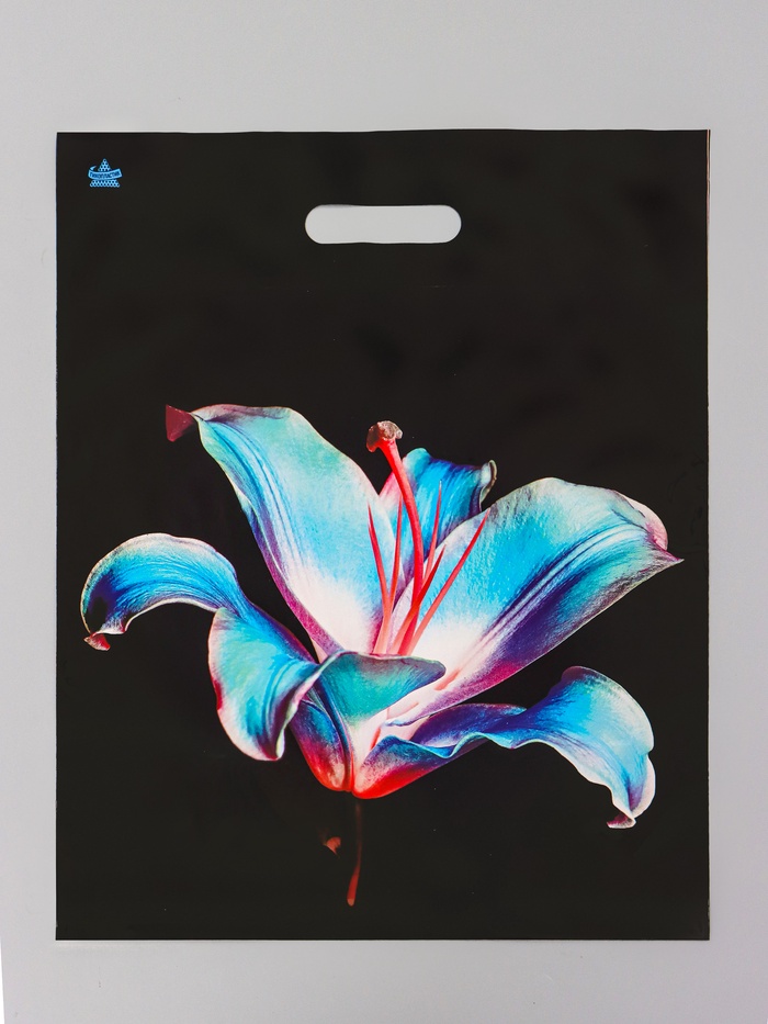 Пакет подарочный «Лила» полиэтиленовый с вырубной ручкой, 45×38 см 55 мкм - Фото 1