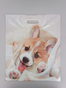 Пакет подарочный Малыш Веня  45 х 38 см 55 мкм 10980833