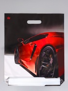 Пакет подарочный «Автошик» полиэтиленовый, с вырубной ручкой, 45×38 см 60 мкм  (артикул 10980837)  большой выбор товаров оптом и в розницу по низким ценам с доставкой