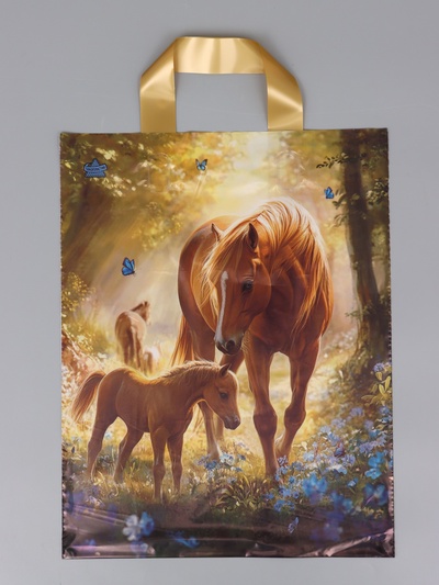 Пакет подарочный «Утро» полиэтиленовый, с петлевой ручкой, 35×28 см 55 мкм