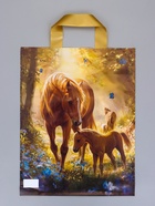 Пакет подарочный «Утро» полиэтиленовый, с петлевой ручкой, 35×28 см 55 мкм - Фото 2