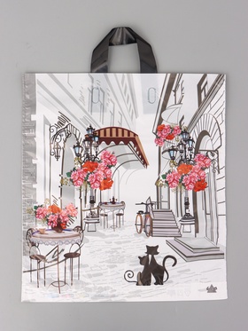 Пакет подарочный Маленькая история 42 х 38 см 37 мкм