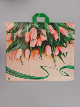 Пакет подарочный Райские тюльпаны 50 х 60 см 60 мкм