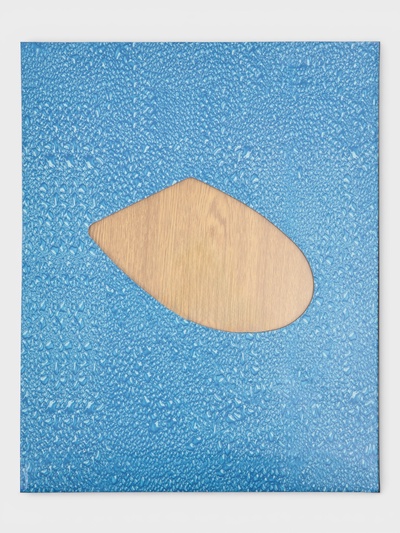 Сиденье для унитаза Доляна, 45×36×5 см, натуральное дерево