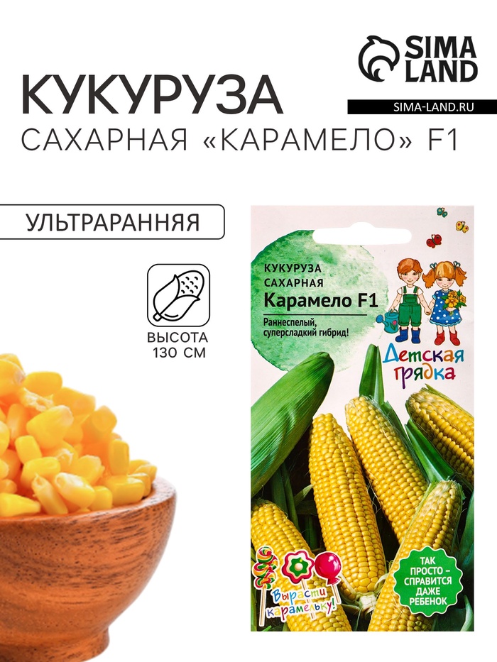 Семена Кукуруза «Карамело», 5 шт., серия «Детская грядка», «Агросидстрейд» - Фото 1
