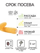 Семена Кукуруза «Карамело», 5 шт., серия «Детская грядка», «Агросидстрейд» - Фото 2