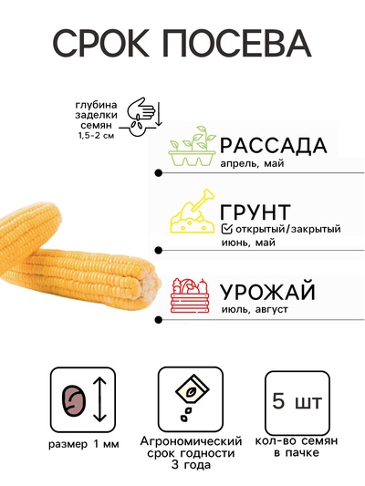 Семена Кукуруза «Карамело», 5 шт., серия «Детская грядка», «Агросидстрейд»