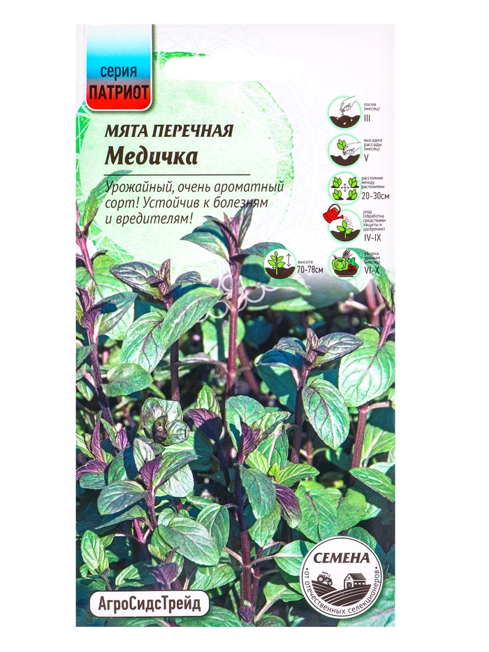 Семена Мята Медичка 0,02 г - Фото 1