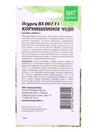 Семена Огурец ВХ 007 «Корнишонное чудо» F1, 0.25 г - Фото 2