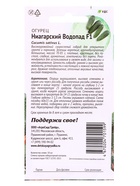 Семена Огурец Ниагарский Водопад F1 10 шт  (артикул 10965585)  большой выбор товаров оптом и в розницу по низким ценам с доставкой