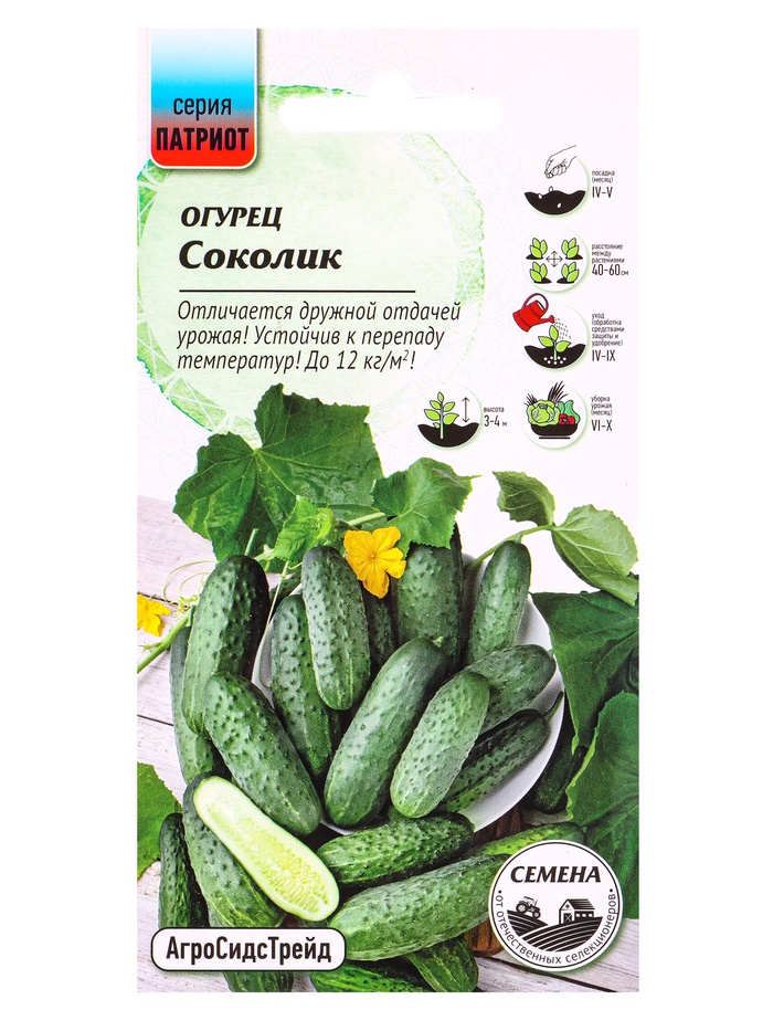 Семена Огурец Соколик 10 шт