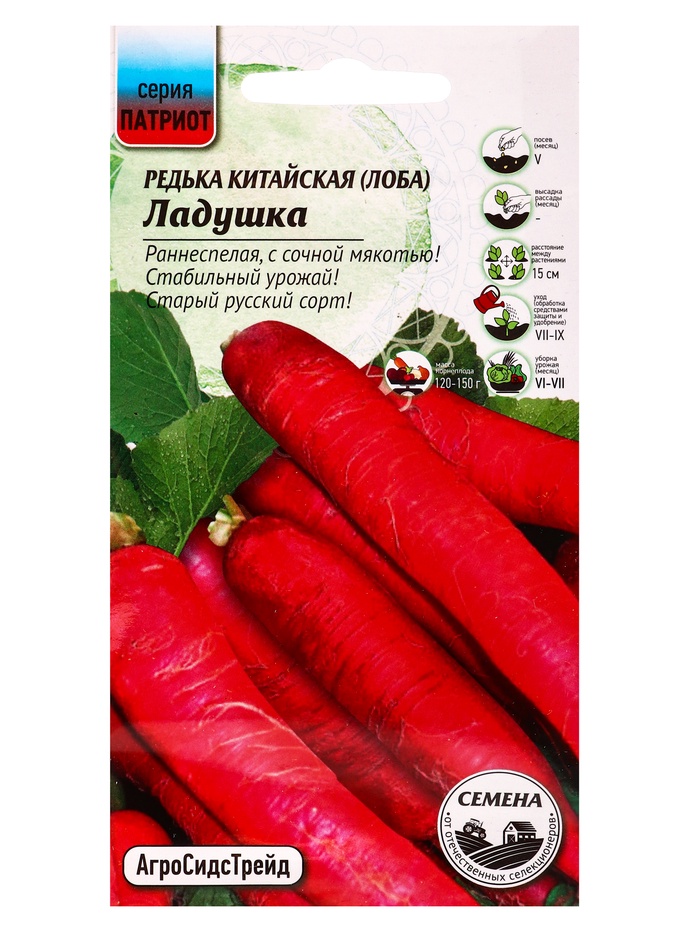 Семена Редька Ладушка 1 г - Фото 1