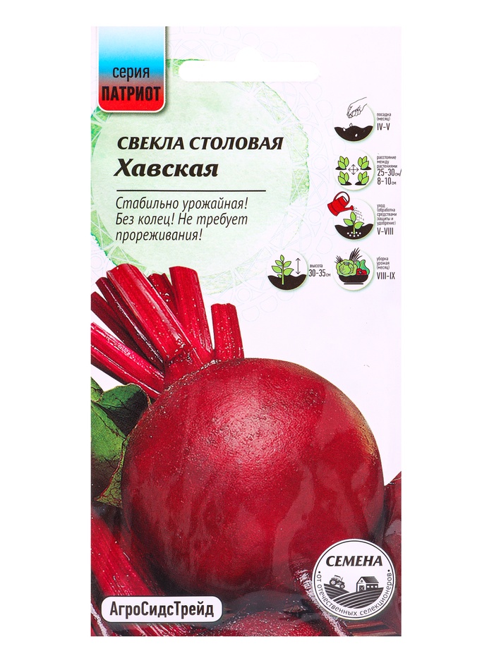 Семена Свекла Хавская 2 г - Фото 1