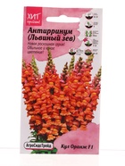 Семена цветов Антирринум Кул Оранж 10 шт - фото 69172760