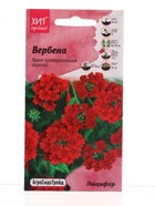 Семена цветов Вербена Люцифер для бордюра 0,05г  (артикул 10965626)  большой выбор товаров оптом и в розницу по низким ценам с доставкой