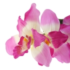 цветы искуственные 95 см d-13 см орхидея каттлея сиреневый - Фото 2
