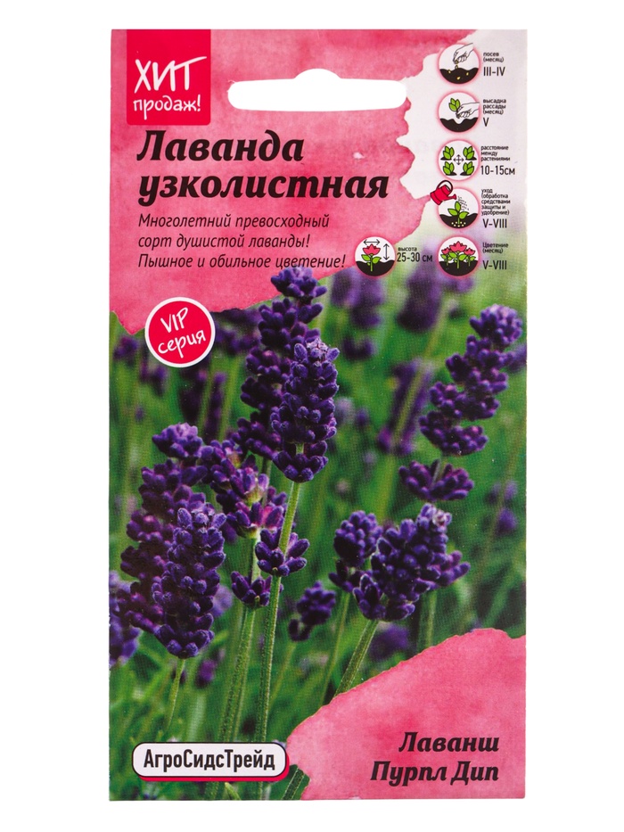 Семена цветов Лаванда узколистная Лаванш Пурпл Дип 6 шт. - Фото 1