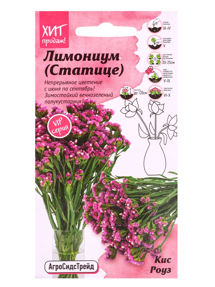 Семена цветов Лимониум (Статице) Кис Роуз 10 шт - Фото 1