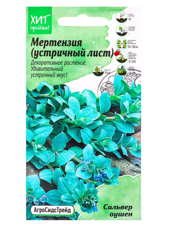 Семена цветов Мертензия (Устричный лист) Сильвер Оушен 5шт - Фото 1