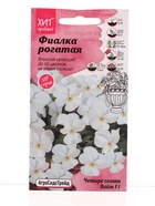 Семена цветов Фиалка рогатая Четыре сезона Вайт F1 5 шт (комплект 2 шт) - фото 69172780