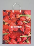 Пакет "Совершенство", полиэтиленовый с пластиковой ручкой, 38 х 45 + 3 см, 90 мкм - Фото 1