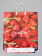 Пакет "Совершенство", полиэтиленовый с пластиковой ручкой, 38 х 45 + 3 см, 90 мкм - Фото 2