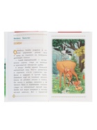 Книга «Бемби и другие сказки о животных», Зальтен Ф., 96 стр. - фото 120954990