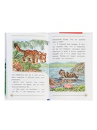 Книга «Бемби и другие сказки о животных», Зальтен Ф., 96 стр. - фото 120954991