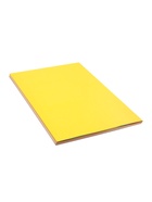 Бумага цветная А4, Calligrata «Multicolor», 100 листов, 25 цветов, 80 г/м², микс 10973346