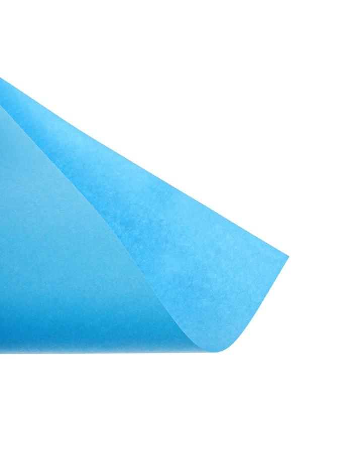 Бумага цветная Calligrata. Multicolor, А4, 100 листов, 25 цветов, плотность 80 г/м², МИКС - фото 51895140