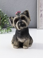 Копилка для денег «Щенок Йорк», гипс, тёмный, 21×13×20 см - Фото 1