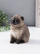 Копилка  Котенок Васька сиамский, 16 см 10975174