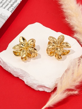 Краб для волос 