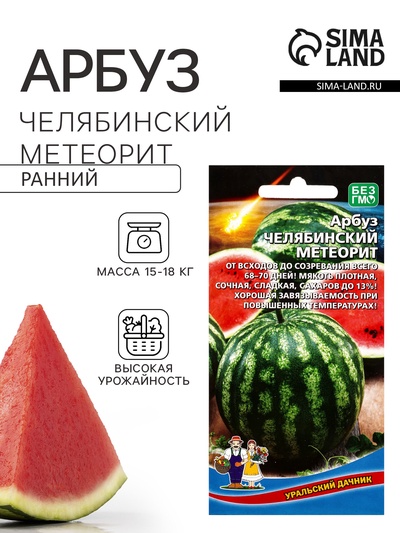 Семена Арбуз Челябинский метеорит (УД) Е/П , Е/П, 10 шт.