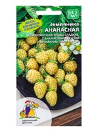 Семена Земляника Ананасная (УД) Е/П , Е/П,  0,05 г.  (артикул 10964799)  большой выбор товаров оптом и в розницу по низким ценам с доставкой