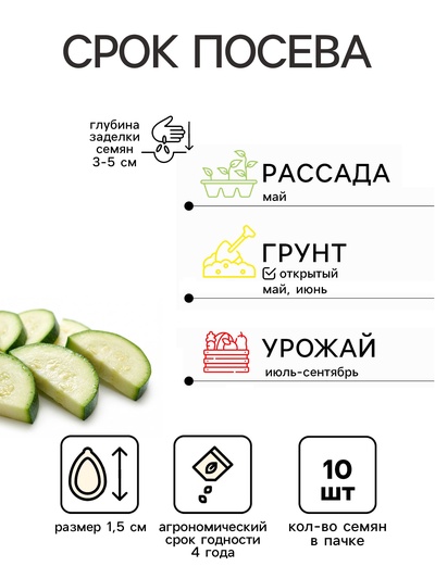 Семена Кабачок «Гордость Сибири» цукини, 10 шт.