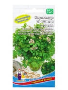 Семена Кориандр (кинза) Пышная особа (УД) Е/П , Е/П,  2 г. (комплект 3 шт) - фото 68974175