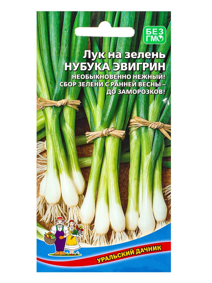 Семена Лук на зелень Нубука эвигрин (УД) Е/П , Е/П,  0,25 г. - Фото 1