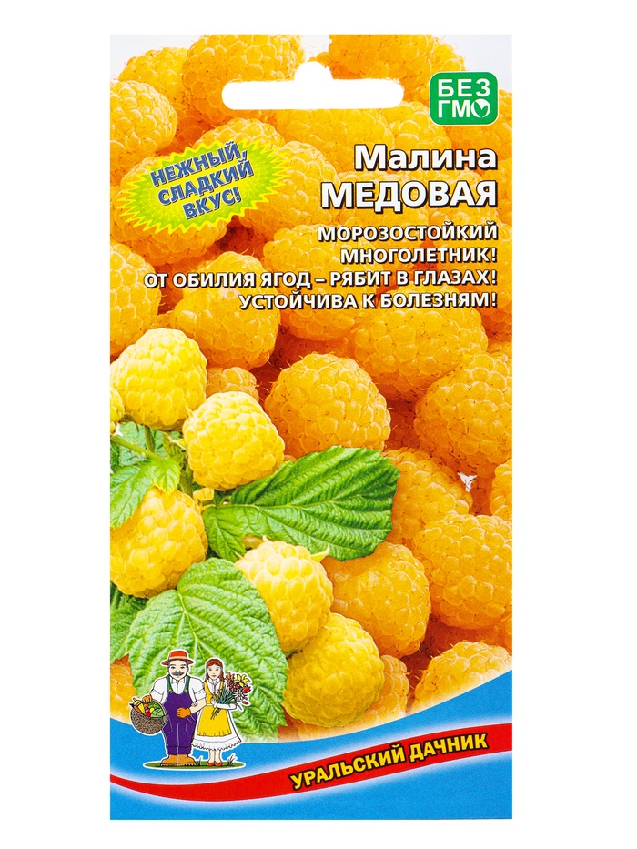Семена Малина Медовая (УД) Е/П , Е/П,  10 шт. - Фото 1