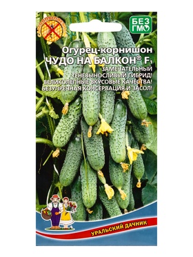 Семена Огурец Чудо на балкон F1 /в реестре Л95/ (УД) Е/П , Е/П,  6 шт.  (артикул 10964863)  большой выбор товаров оптом и в розницу по низким ценам с доставкой