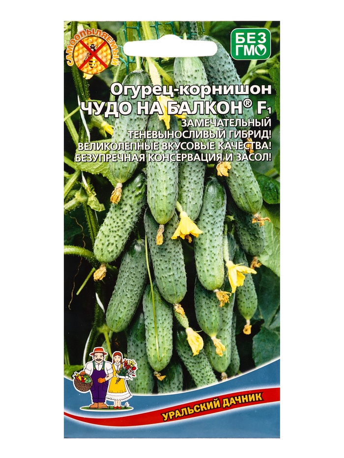 Семена Огурец Чудо на балкон F1 /в реестре Л95/ (УД) Е/П , Е/П,  6 шт. - Фото 1