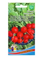 Семена Редис Каспар (УД) Е/П , Е/П,  2 г. (комплект 3 шт) - фото 68974280