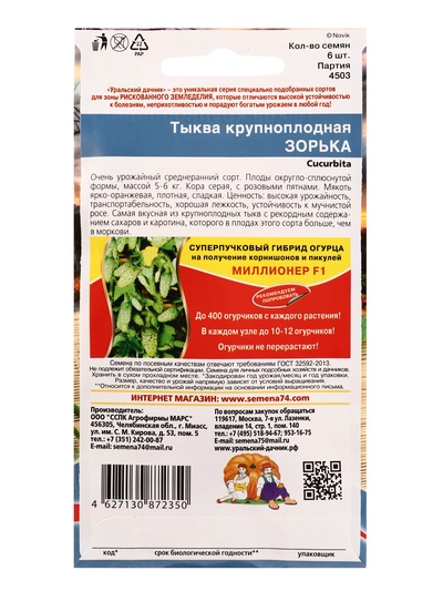 Семена Тыква крупноплодная «Зорька» 6 шт.