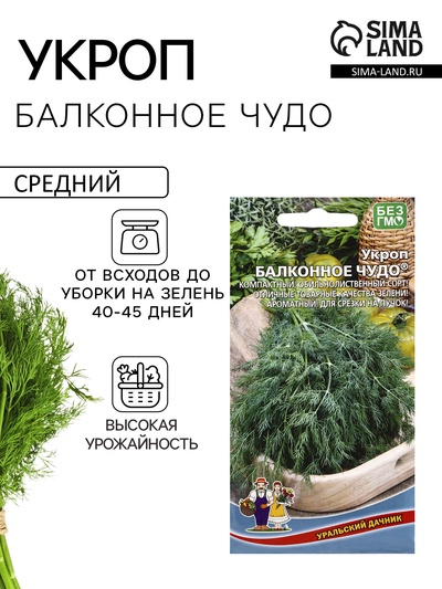 Семена Укроп «Балконное чудо» 2 г