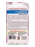 Семена Цветы Астра игольчатая Шальная императрица сине-фиолетовая (УД) Е/П , Е/П,  0,2 г. (комплект 2 шт) - фото 68974381