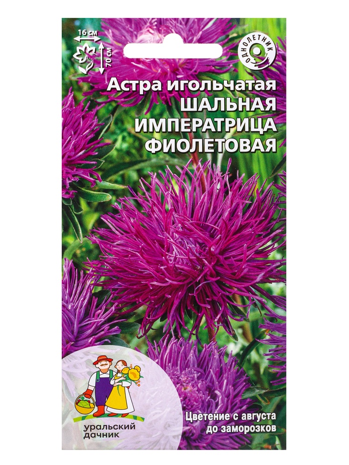 Семена Цветы Астра игольчатая Шальная императрица фиолетовая (УД) Е/П , Е/П,  0,2 г. - Фото 1