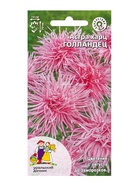 Семена Цветы Астра харц Голландец (УД) Е/П , Е/П,  0,2 г. (комплект 3 шт) - фото 68974386