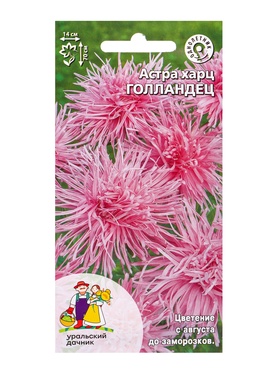 Семена Цветы Астра харц Голландец (УД) Е/П , Е/П,  0,2 г. (комплект 3 шт)